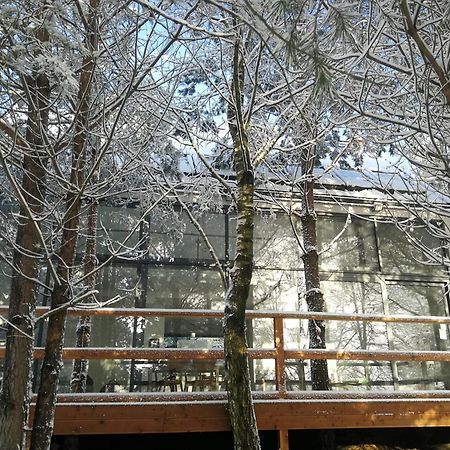 Villa Luksusowy- Nowoczesny Dom W Lesie Kowalewo Exterior foto