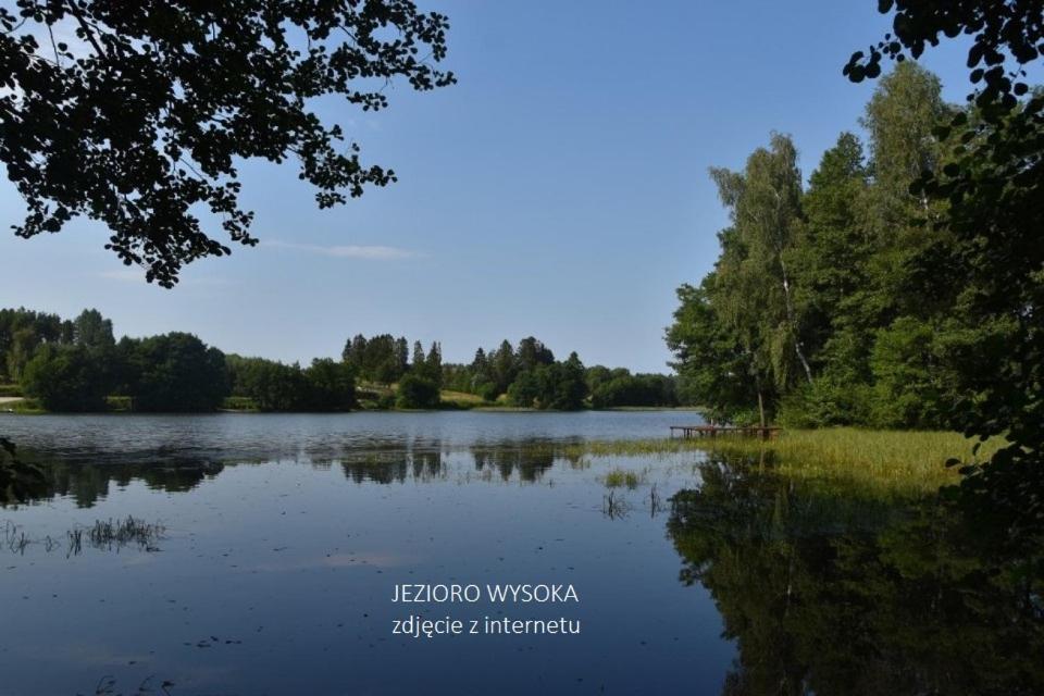 Villa Luksusowy- Nowoczesny Dom W Lesie Kowalewo Exterior foto